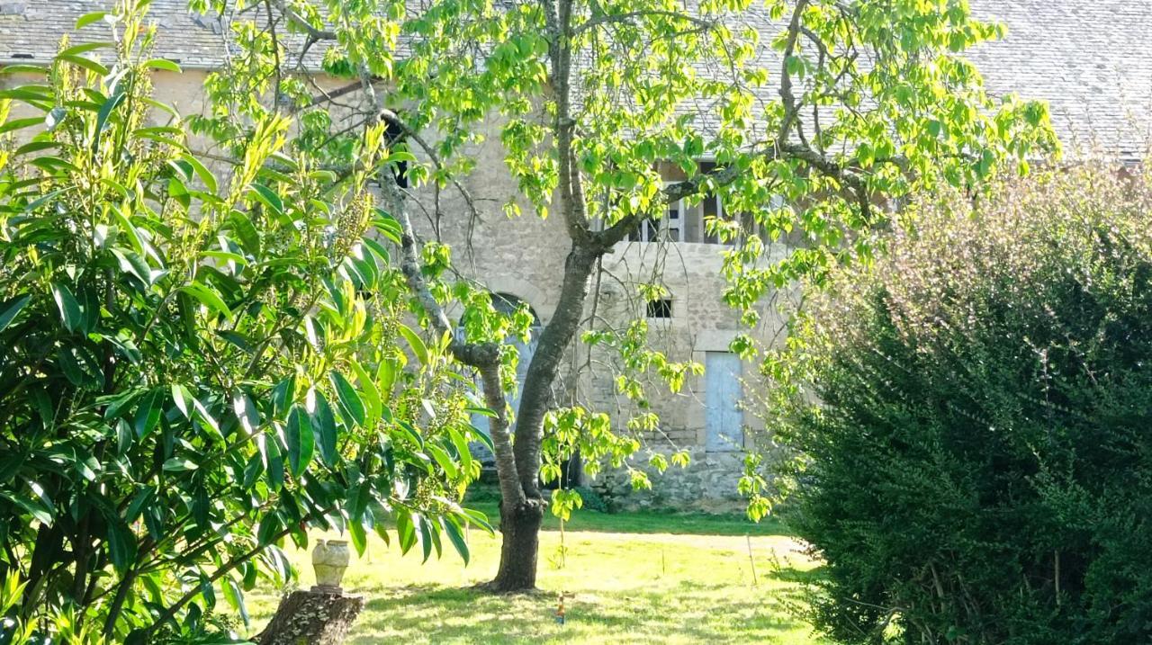 Maris Domus Pres Des Plages Du Debarquement Bayeux Exterior foto